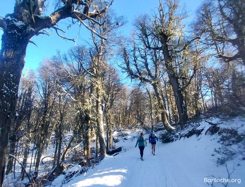 Photo of the Week - Bariloche.Org